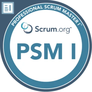 Professional Scrum Master
